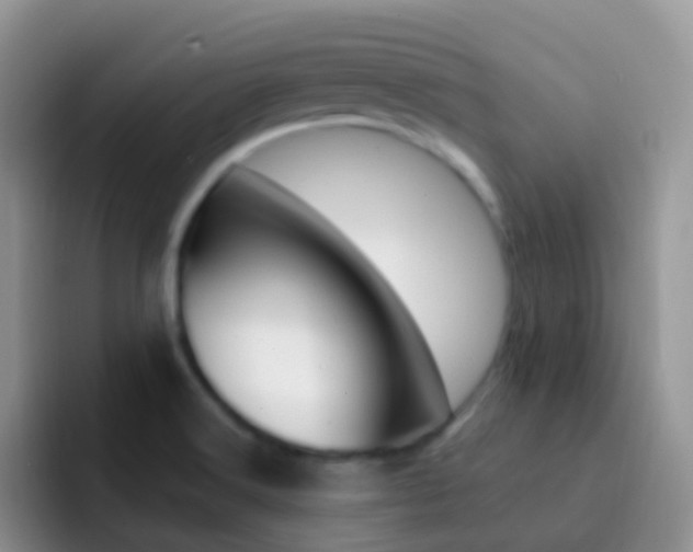 X0000092301516200709140949