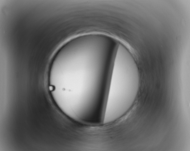 X0000092301518200709140949
