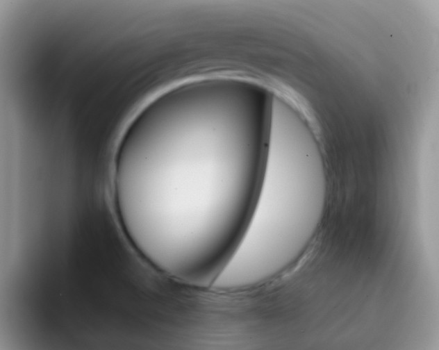 X0000092301520200709140949
