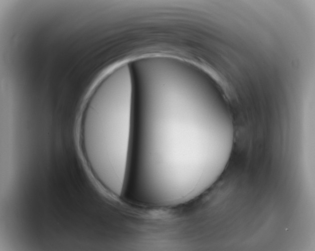 X0000092301523200709140949