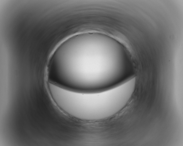 X0000092301524200709140949