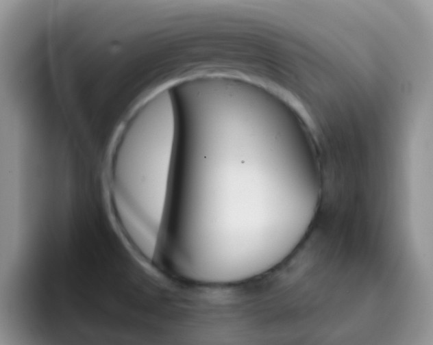 X0000092301525200709140949