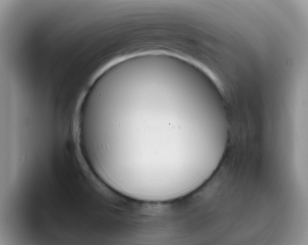 X0000092301526200709140949