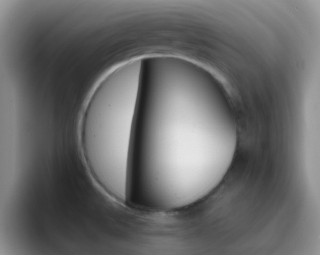 X0000092301527200709140949