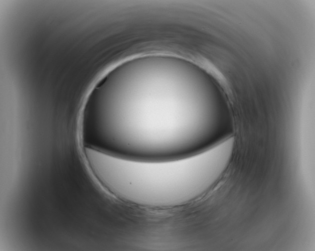 X0000092301528200709140949