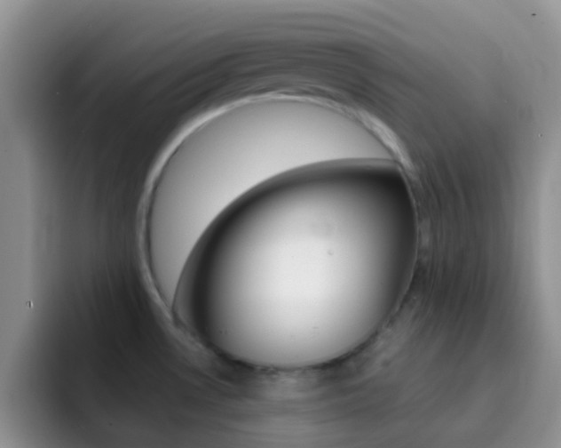 X0000092301530200709140949