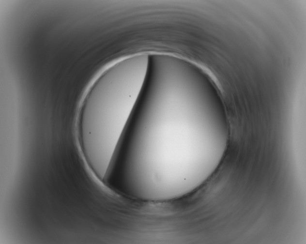 X0000092301531200709140949