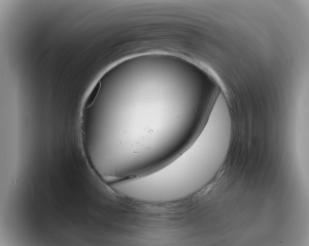 X0000092301532200709140949