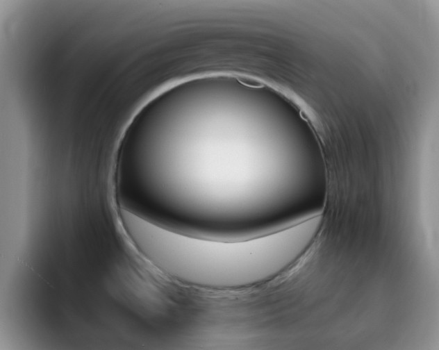 X0000092301534200709140949