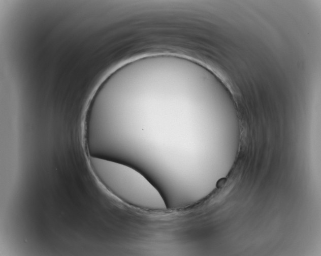 X0000092301535200709140949