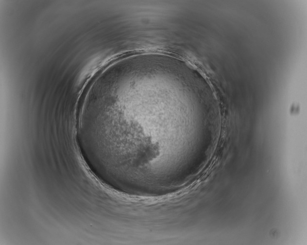 X0000092300002200709141330