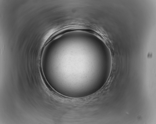 X0000092300003200709141330