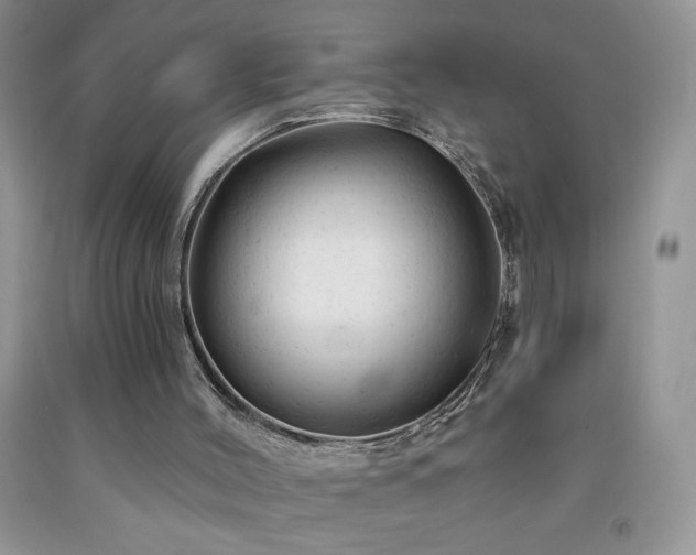 X0000092300004200709141330