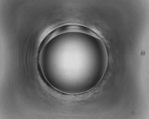 X0000092300007200709141329