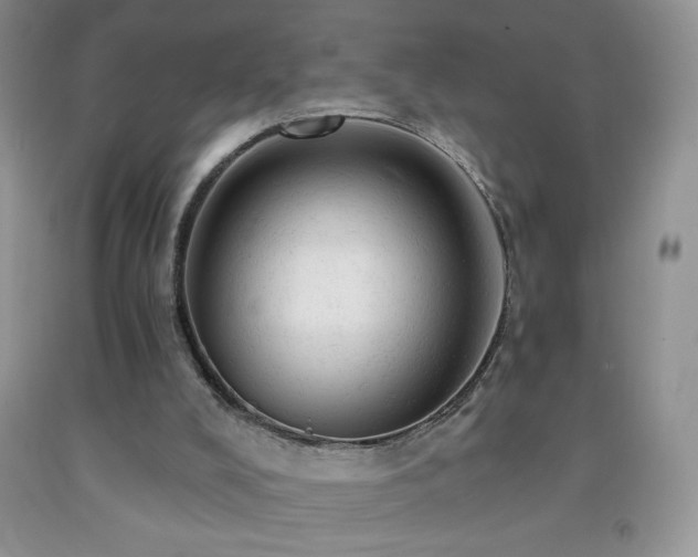 X0000092300008200709141329