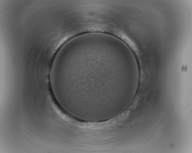 X0000092300009200709141329