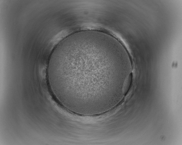 X0000092300010200709141329