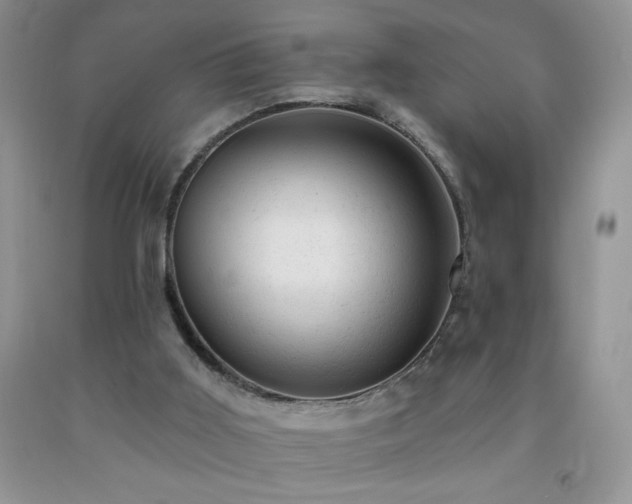 X0000092300011200709141329