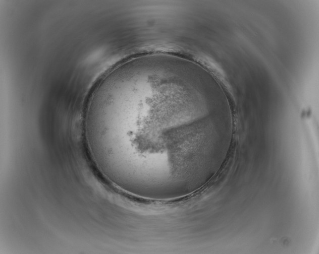 X0000092300012200709141329