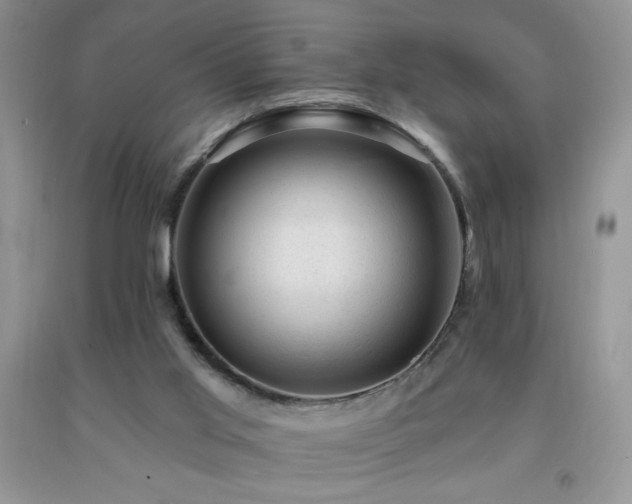 X0000092300013200709141329