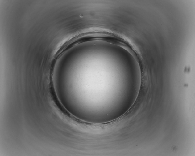 X0000092300015200709141329