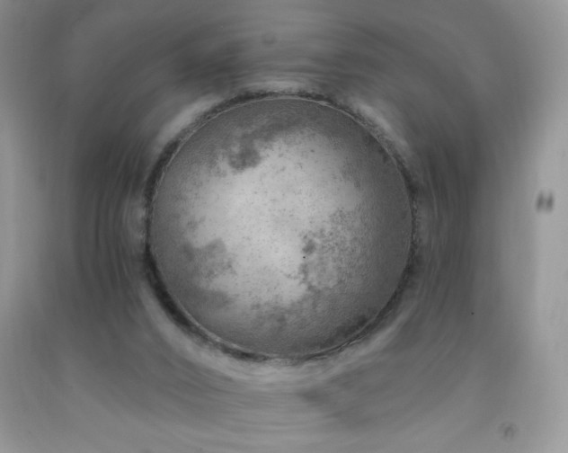 X0000092300016200709141329