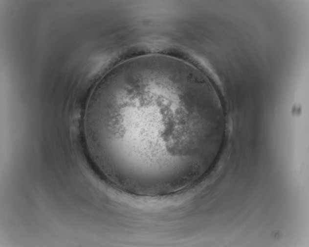 X0000092300018200709141329