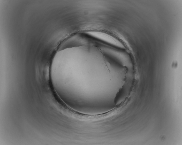 X0000092300019200709141329
