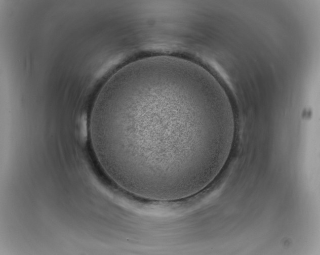 X0000092300020200709141329