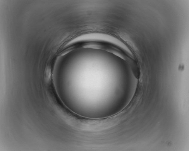 X0000092300021200709141329