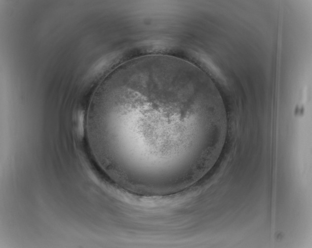 X0000092300022200709141329