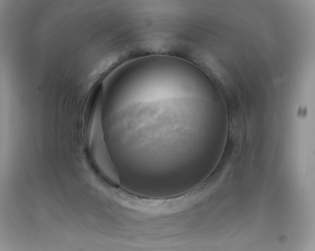 X0000092300023200709141329