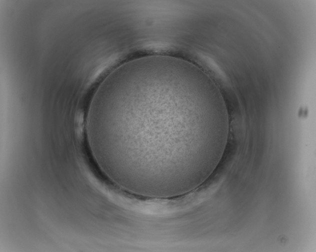 X0000092300024200709141329