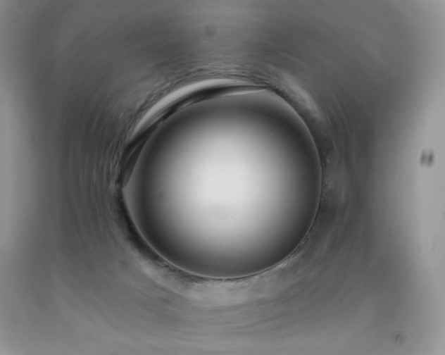 X0000092300025200709141329