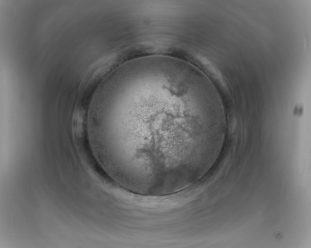 X0000092300026200709141329