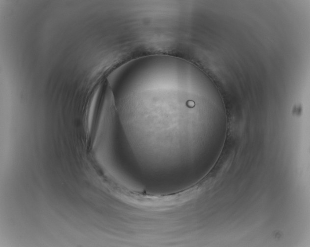 X0000092300027200709141329