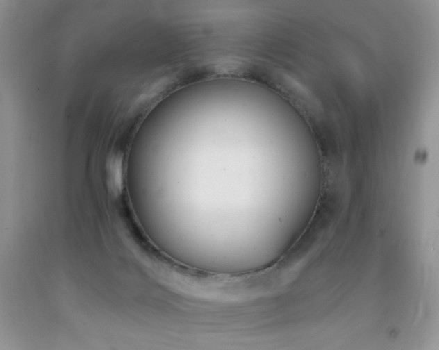 X0000092300028200709141329