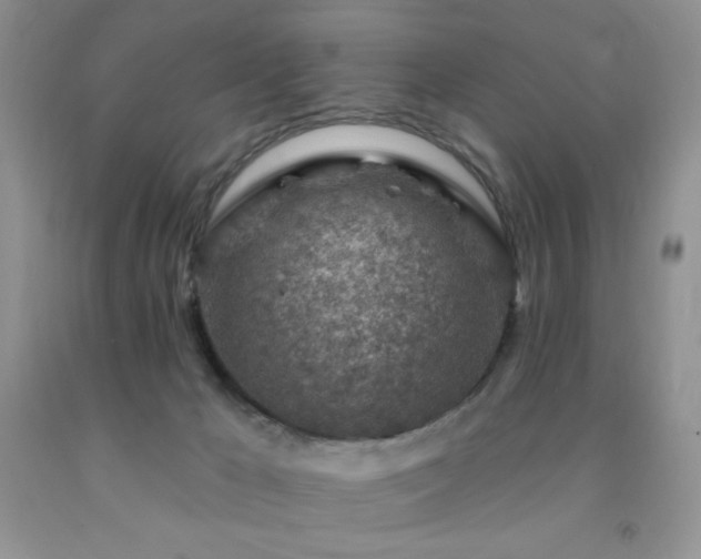 X0000092300029200709141329
