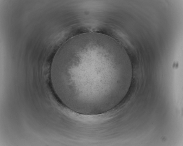 X0000092300030200709141329