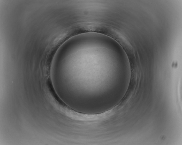 X0000092300031200709141329