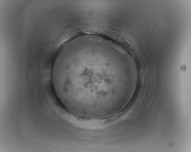 X0000092300032200709141329