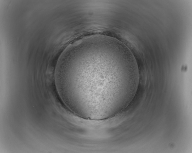 X0000092300034200709141329