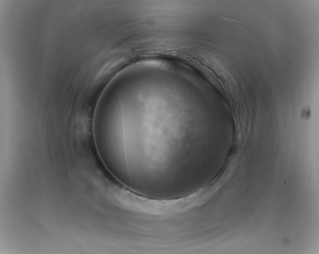 X0000092300035200709141329