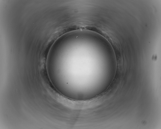 X0000092300038200709141329