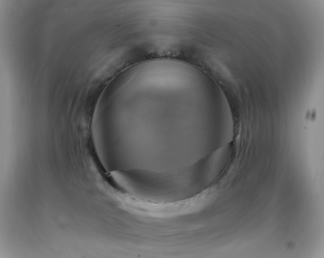X0000092300039200709141329