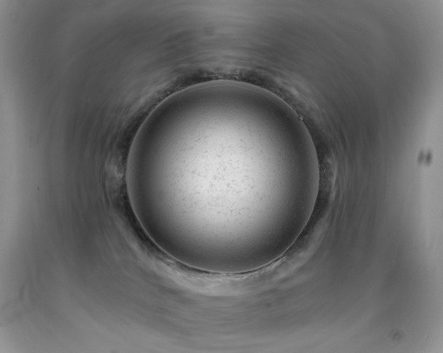X0000092300040200709141329