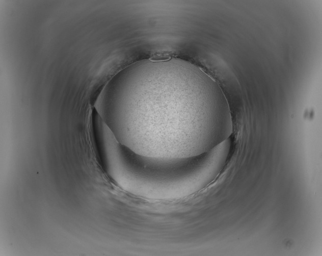 X0000092300041200709141329