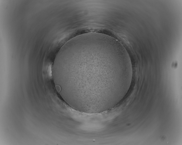 X0000092300042200709141329