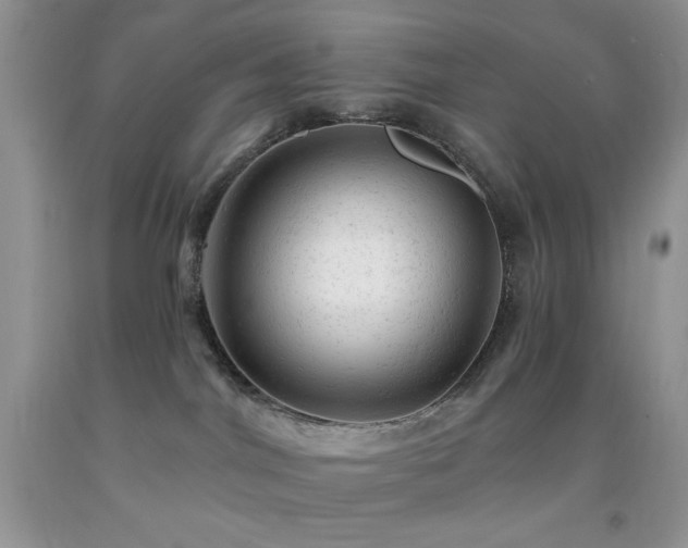 X0000092300044200709141329