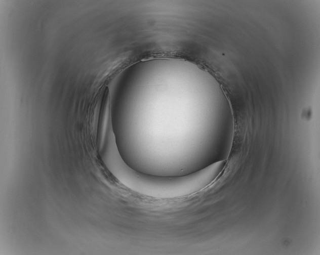 X0000092300045200709141329